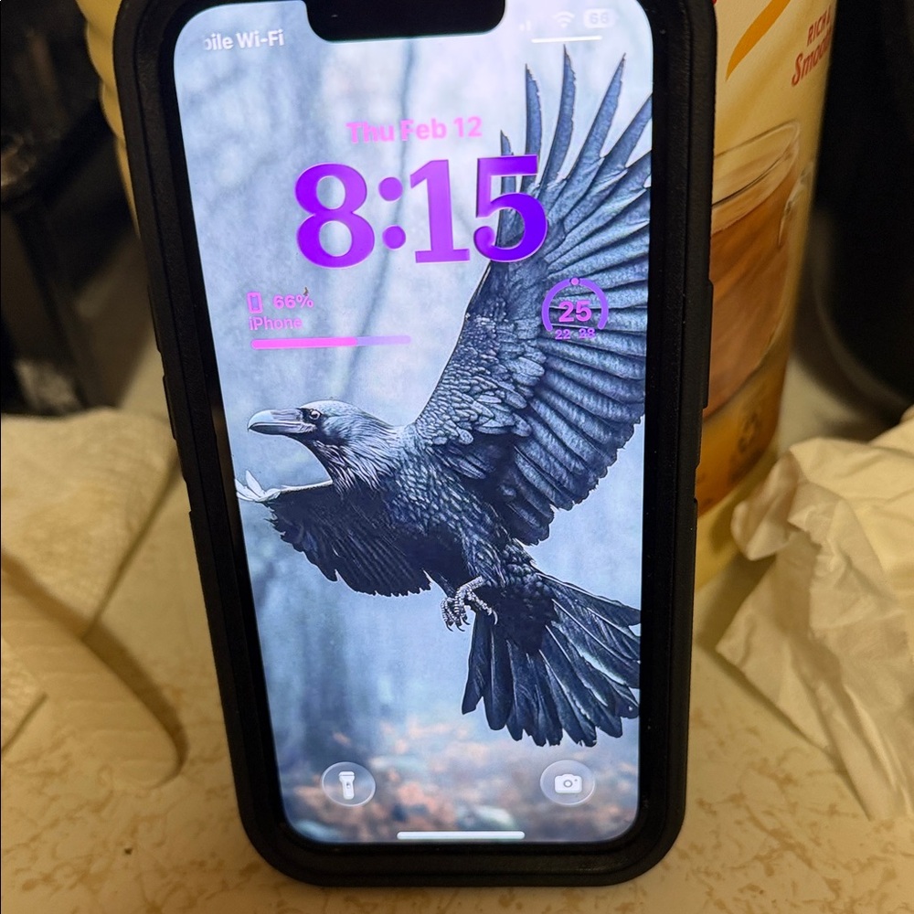 iPhone 14